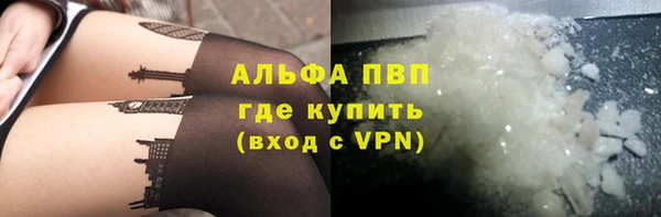 спиды Каменногорск