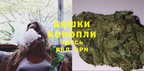 спиды Каменногорск
