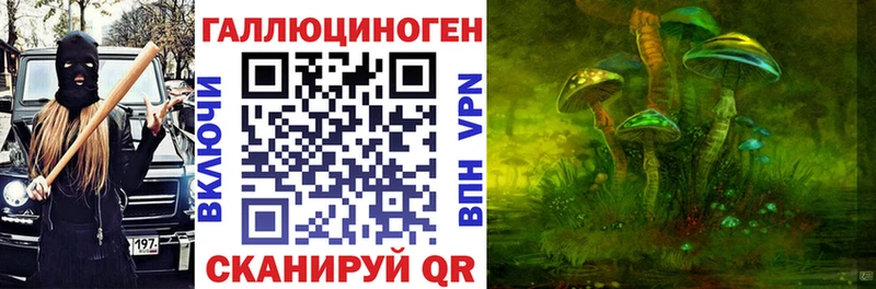 omg   Кодинск  Псилоцибиновые грибы Psilocybine cubensis 